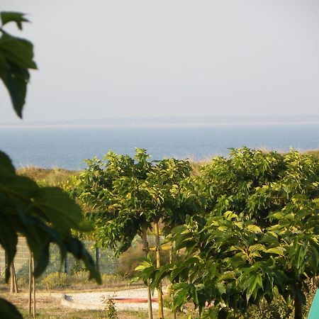 Au Petit Bonheur Hotel La Tranche-sur-Mer Kültér fotó