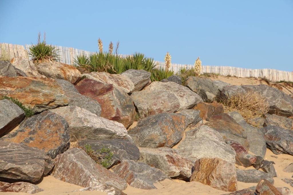 Au Petit Bonheur Hotel La Tranche-sur-Mer Kültér fotó